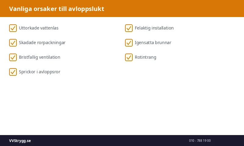 Vanliga orsaker till avloppslukt