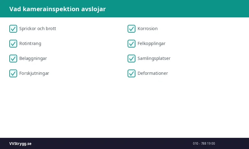 Vad kamerainspektion avslojar